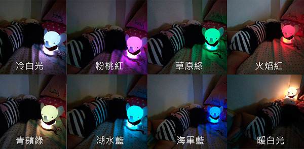 20191014 (18).jpg