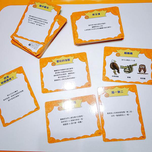 20191108 (14).jpg