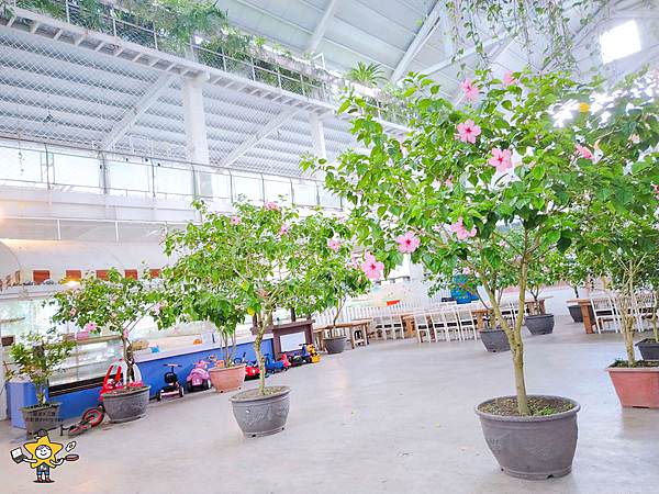 宜蘭景點香草菲菲 (24).jpg