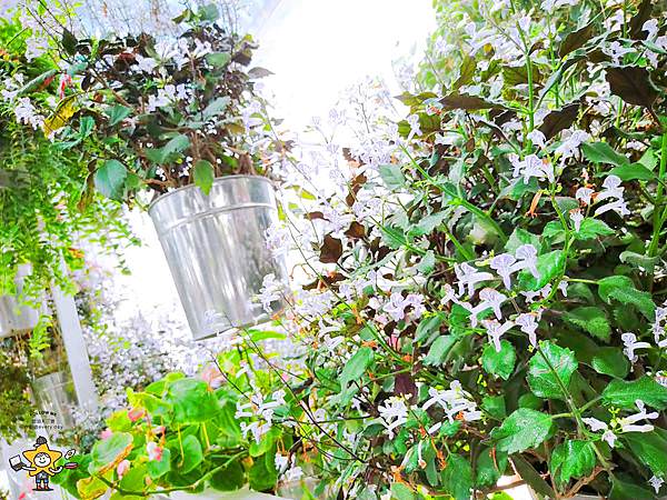宜蘭景點香草菲菲 (44).jpg
