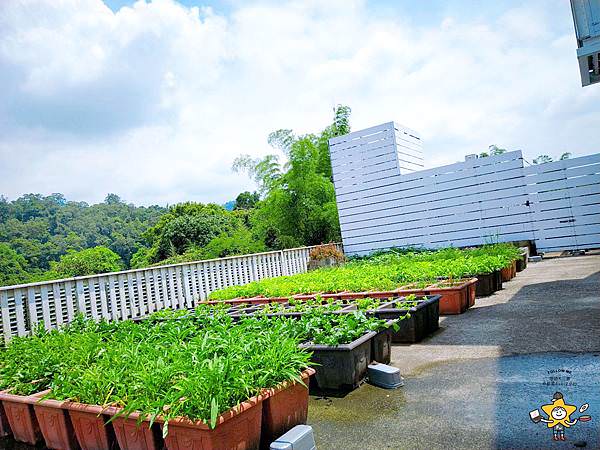 宜蘭景點香草菲菲 (54).jpg