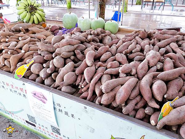 宜蘭三星景點耕堡休閒農場 (60).jpg