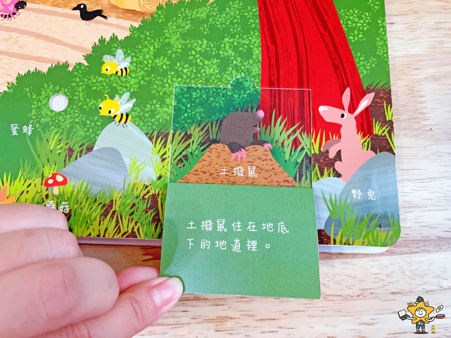 閣林文創學齡前兒童閱讀書單 (18).jpg