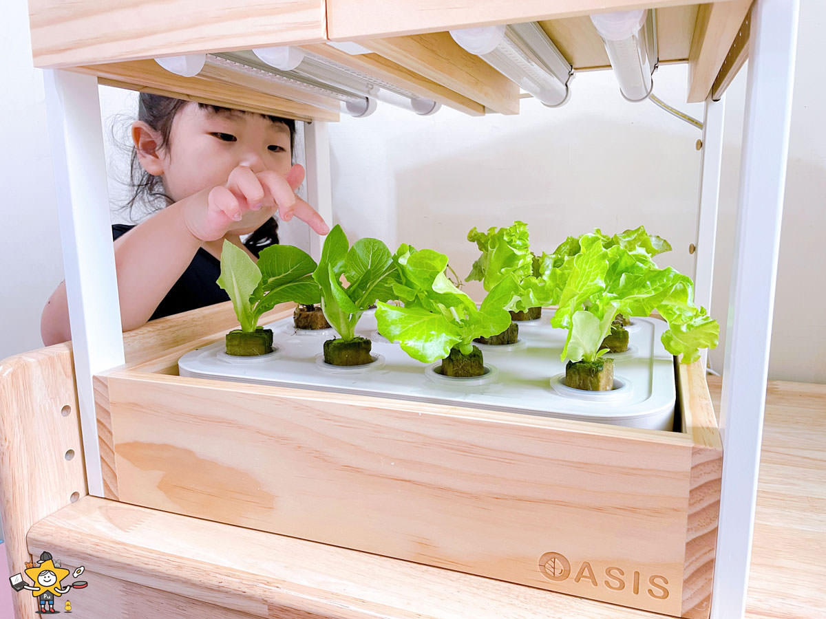 OASIS室內蔬菜製造機收成篇 18