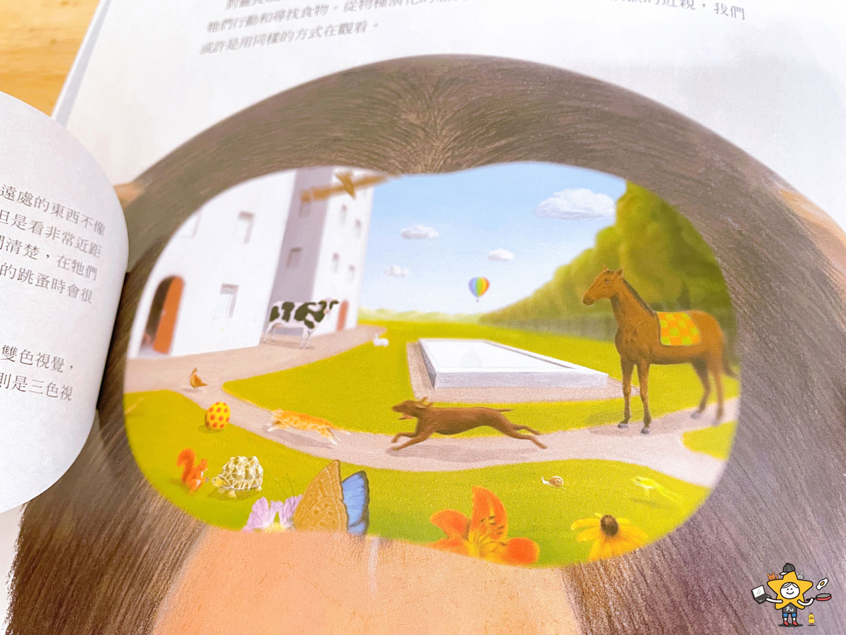 童書推薦|動物眼中的世界/最酷的視覺科學圖畫書 - 第6張圖 童書推薦|動物眼中的世界/最酷的視覺科學圖畫書