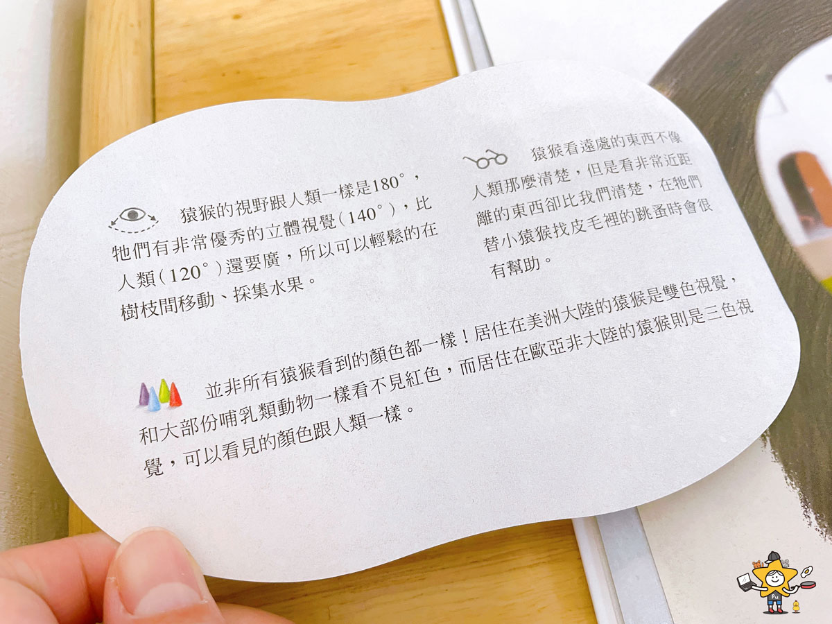 童書推薦|動物眼中的世界/最酷的視覺科學圖畫書 - 第7張圖 童書推薦|動物眼中的世界/最酷的視覺科學圖畫書