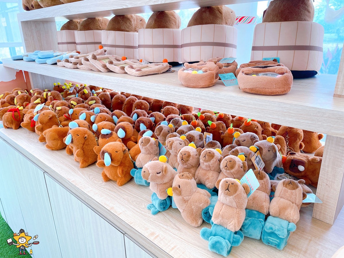 宜蘭三星親子景點推薦|遛遛三星 / 白狐狸互動×文青溫室×手作體驗,適合全家慢遊的療癒景點 - 第10張圖 宜蘭三星親子景點推薦|遛遛三星 / 白狐狸互動×文青溫室×手作體驗,適合全家慢遊的療癒景點