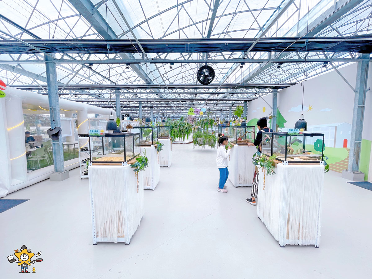 宜蘭三星親子景點推薦|遛遛三星 / 白狐狸互動×文青溫室×手作體驗,適合全家慢遊的療癒景點 - 第13張圖 宜蘭三星親子景點推薦|遛遛三星 / 白狐狸互動×文青溫室×手作體驗,適合全家慢遊的療癒景點