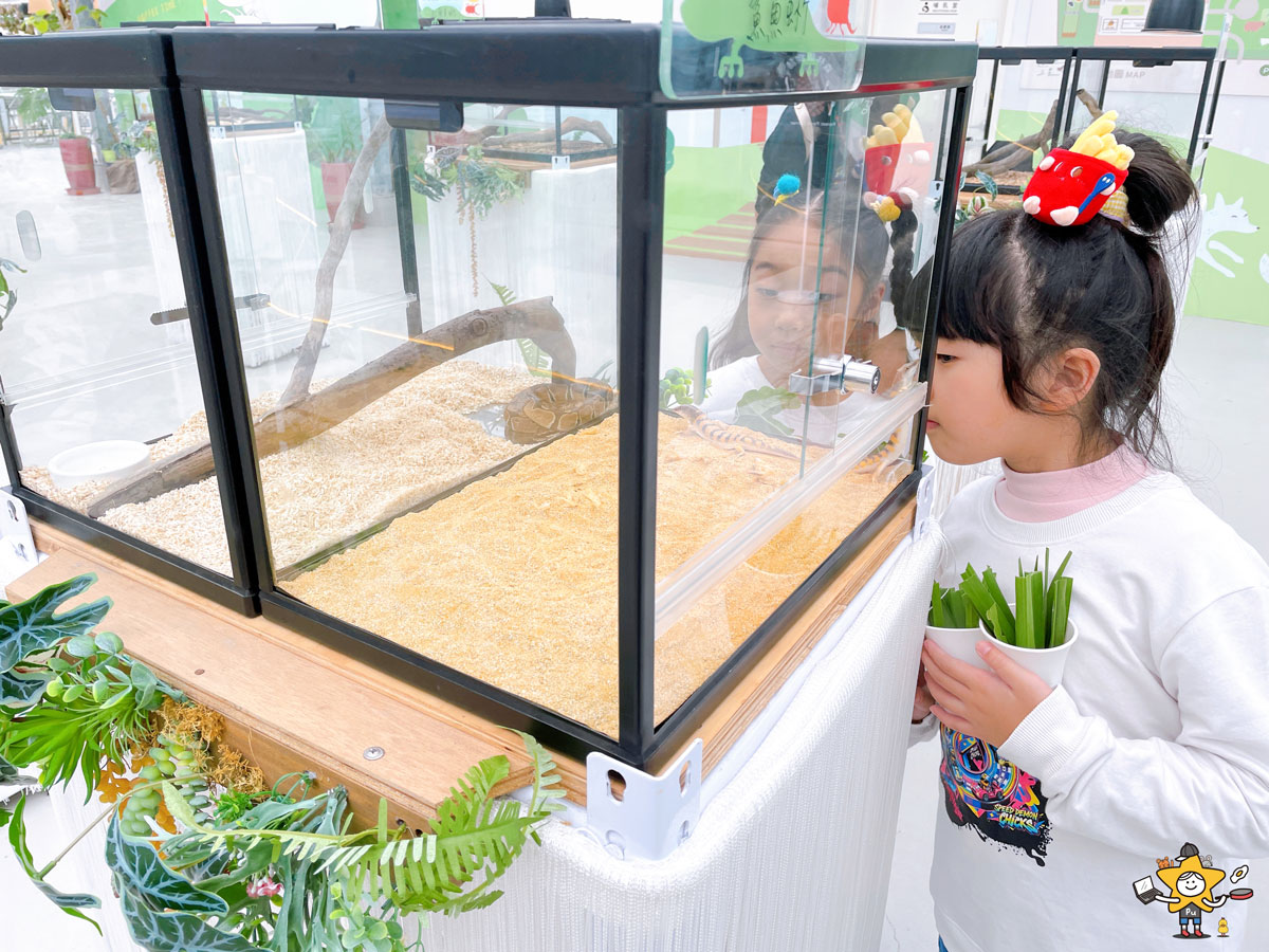 宜蘭三星親子景點推薦｜遛遛三星 / 白狐狸互動×文青溫室×手作體驗，適合全家慢遊的療癒景點