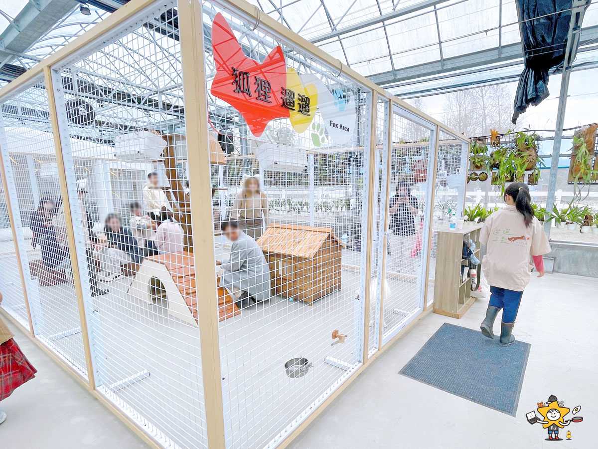 宜蘭三星親子景點推薦|遛遛三星 / 白狐狸互動×文青溫室×手作體驗,適合全家慢遊的療癒景點 - 第20張圖 宜蘭三星親子景點推薦|遛遛三星 / 白狐狸互動×文青溫室×手作體驗,適合全家慢遊的療癒景點