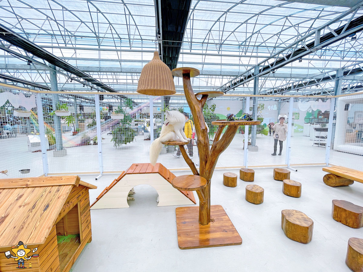 宜蘭三星親子景點推薦|遛遛三星 / 白狐狸互動×文青溫室×手作體驗,適合全家慢遊的療癒景點 - 第21張圖 宜蘭三星親子景點推薦|遛遛三星 / 白狐狸互動×文青溫室×手作體驗,適合全家慢遊的療癒景點