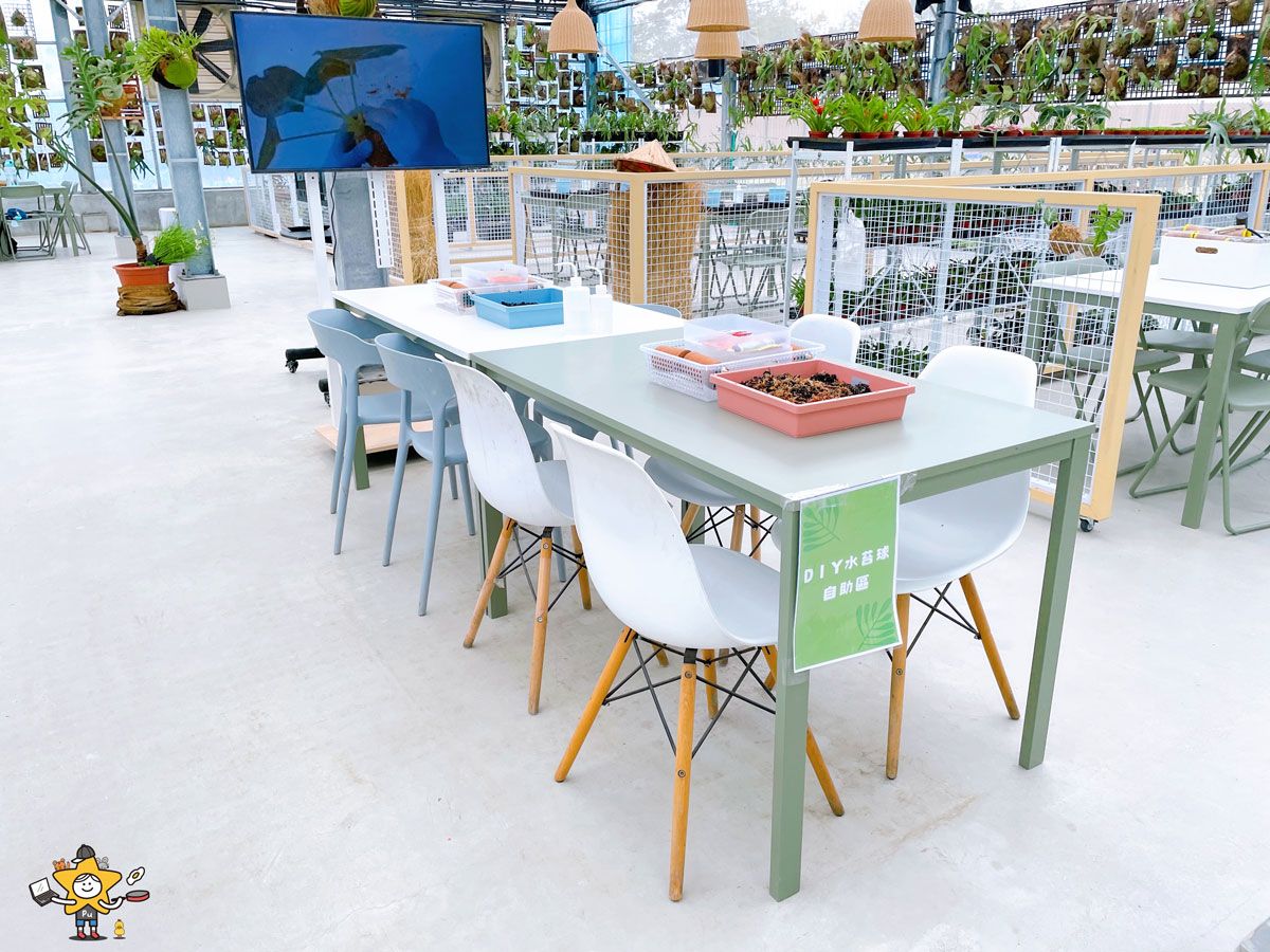 宜蘭三星親子景點推薦|遛遛三星 / 白狐狸互動×文青溫室×手作體驗,適合全家慢遊的療癒景點 - 第29張圖 宜蘭三星親子景點推薦|遛遛三星 / 白狐狸互動×文青溫室×手作體驗,適合全家慢遊的療癒景點