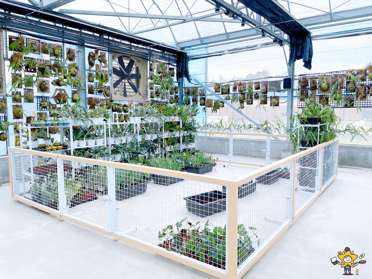 宜蘭三星親子景點推薦|遛遛三星 / 白狐狸互動×文青溫室×手作體驗,適合全家慢遊的療癒景點 - 第31張圖 宜蘭三星親子景點推薦|遛遛三星 / 白狐狸互動×文青溫室×手作體驗,適合全家慢遊的療癒景點