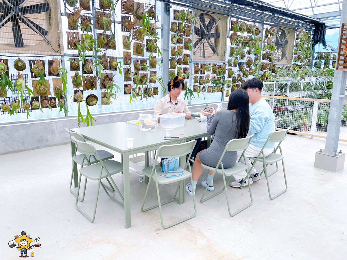 宜蘭三星親子景點推薦|遛遛三星 / 白狐狸互動×文青溫室×手作體驗,適合全家慢遊的療癒景點 - 第32張圖 宜蘭三星親子景點推薦|遛遛三星 / 白狐狸互動×文青溫室×手作體驗,適合全家慢遊的療癒景點