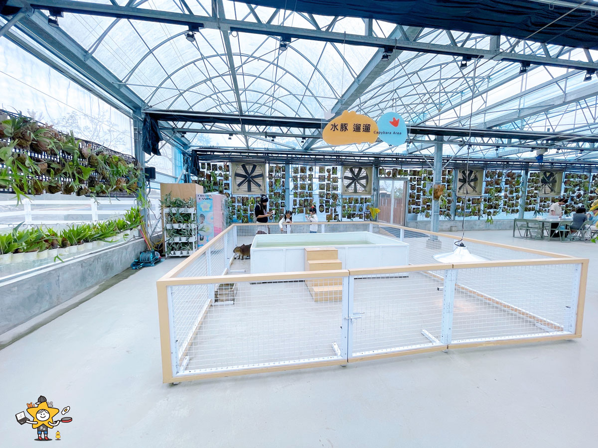 宜蘭三星親子景點推薦|遛遛三星 / 白狐狸互動×文青溫室×手作體驗,適合全家慢遊的療癒景點 - 第25張圖 宜蘭三星親子景點推薦|遛遛三星 / 白狐狸互動×文青溫室×手作體驗,適合全家慢遊的療癒景點