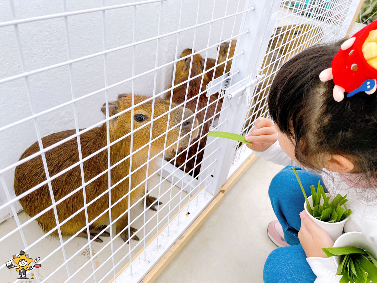 宜蘭三星親子景點推薦｜遛遛三星 / 白狐狸互動×文青溫室×手作體驗，適合全家慢遊的療癒景點