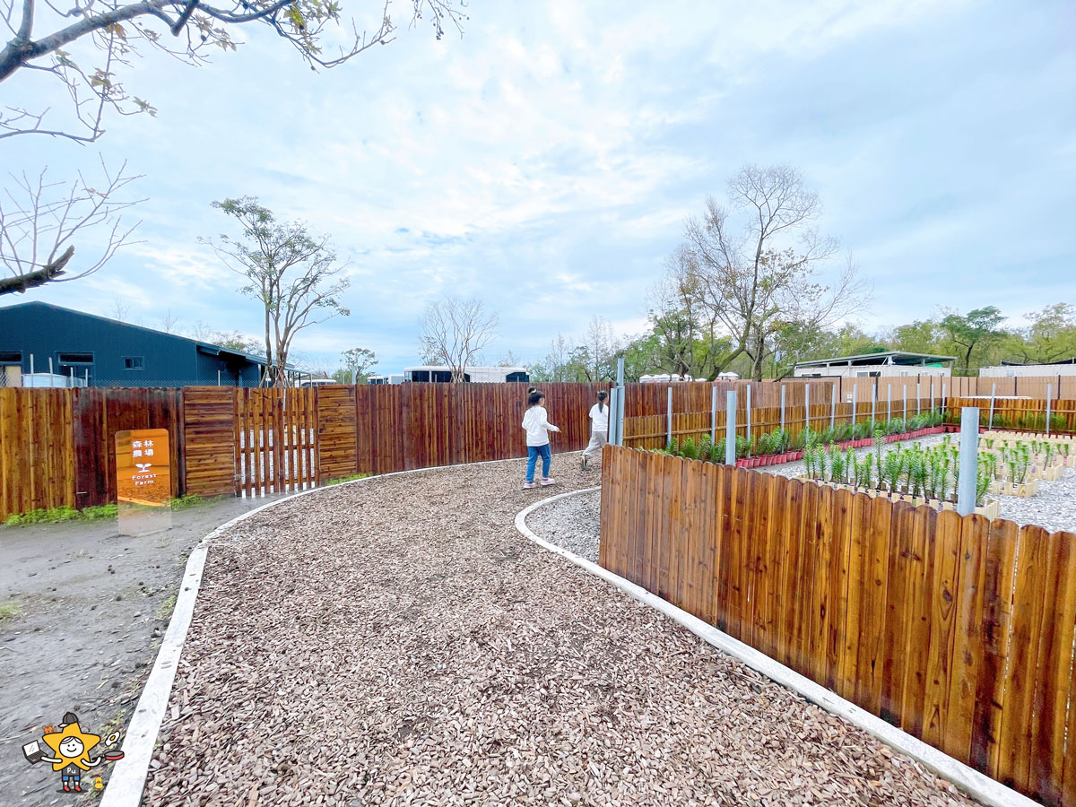 宜蘭三星親子景點推薦|遛遛三星 / 白狐狸互動×文青溫室×手作體驗,適合全家慢遊的療癒景點 - 第34張圖 宜蘭三星親子景點推薦|遛遛三星 / 白狐狸互動×文青溫室×手作體驗,適合全家慢遊的療癒景點