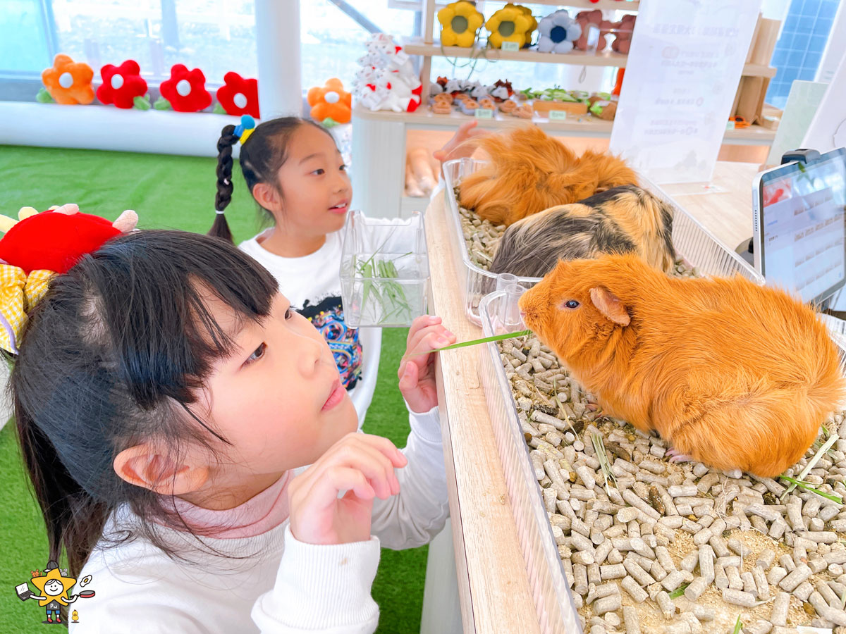 宜蘭三星親子景點推薦|遛遛三星 / 白狐狸互動×文青溫室×手作體驗,適合全家慢遊的療癒景點 - 第6張圖 宜蘭三星親子景點推薦|遛遛三星 / 白狐狸互動×文青溫室×手作體驗,適合全家慢遊的療癒景點