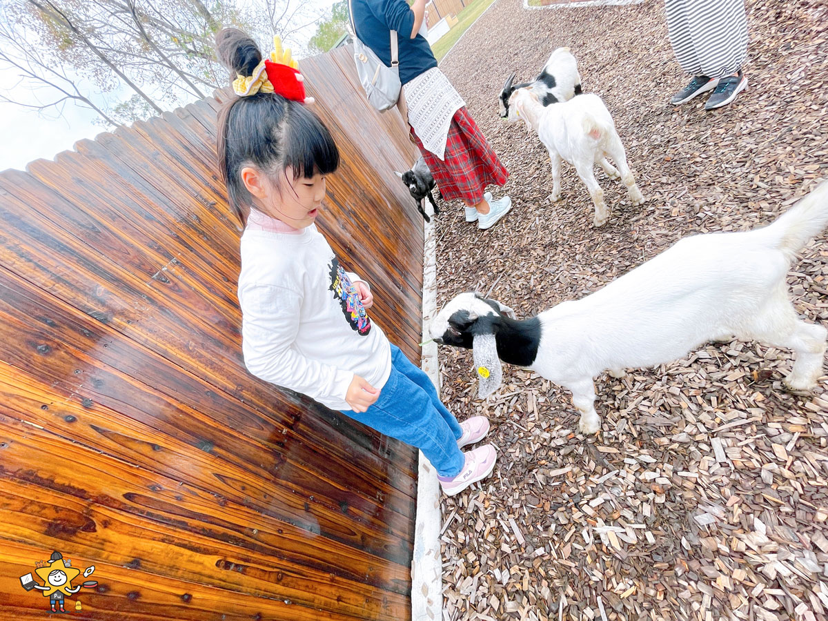 宜蘭三星親子景點推薦|遛遛三星 / 白狐狸互動×文青溫室×手作體驗,適合全家慢遊的療癒景點 - 第38張圖 宜蘭三星親子景點推薦|遛遛三星 / 白狐狸互動×文青溫室×手作體驗,適合全家慢遊的療癒景點