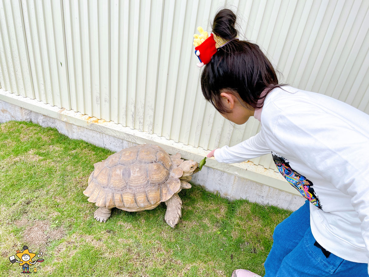宜蘭三星親子景點推薦|遛遛三星 / 白狐狸互動×文青溫室×手作體驗,適合全家慢遊的療癒景點 - 第43張圖 宜蘭三星親子景點推薦|遛遛三星 / 白狐狸互動×文青溫室×手作體驗,適合全家慢遊的療癒景點