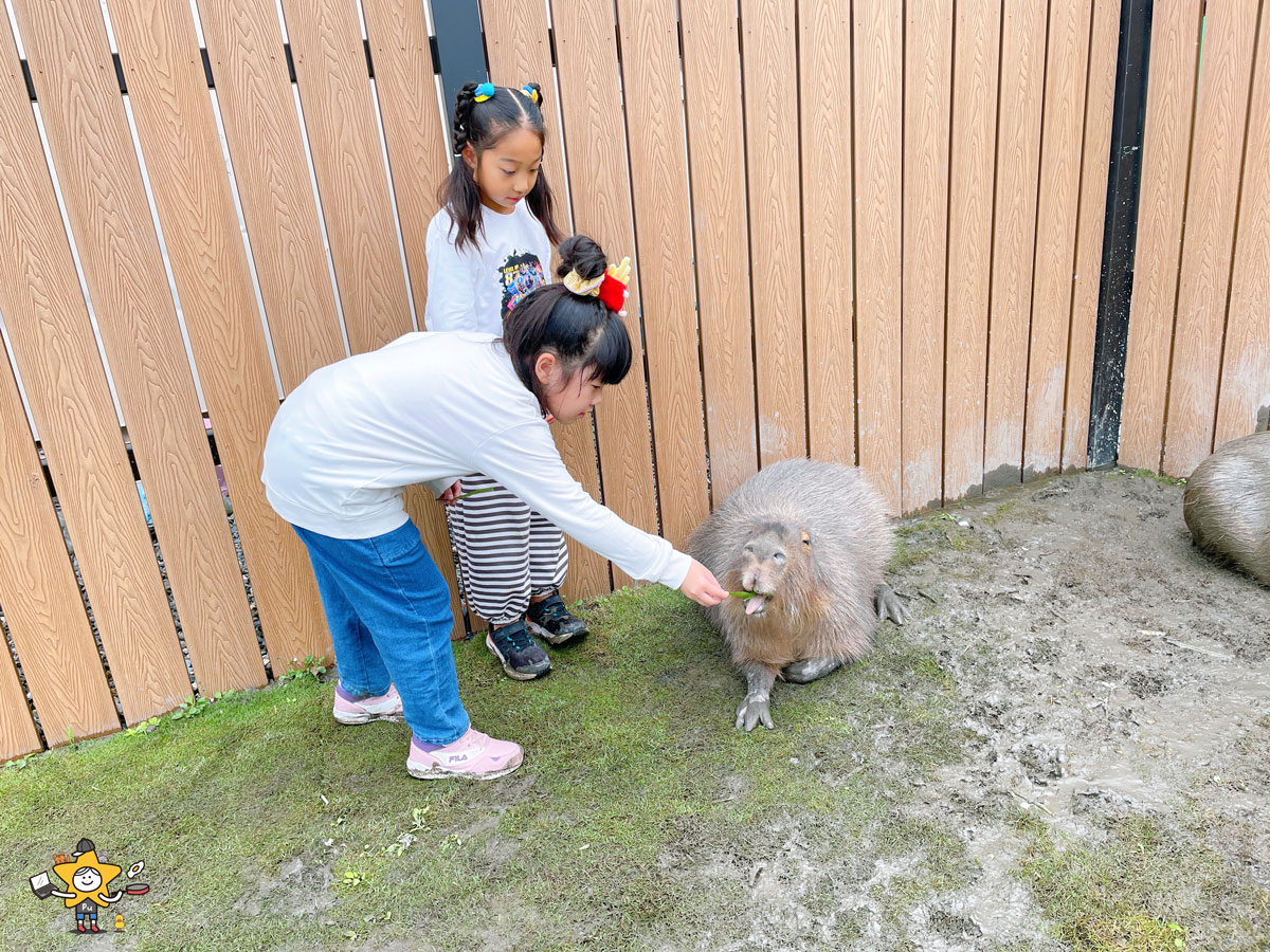 宜蘭三星親子景點推薦｜遛遛三星 / 白狐狸互動×文青溫室×手作體驗，適合全家慢遊的療癒景點