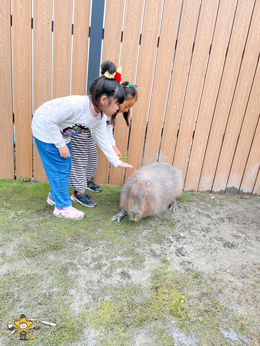 宜蘭三星親子景點推薦|遛遛三星 / 白狐狸互動×文青溫室×手作體驗,適合全家慢遊的療癒景點 - 第47張圖 宜蘭三星親子景點推薦|遛遛三星 / 白狐狸互動×文青溫室×手作體驗,適合全家慢遊的療癒景點
