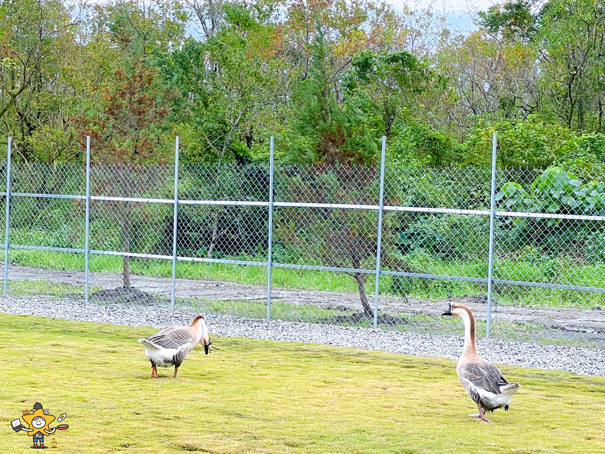 宜蘭三星親子景點推薦｜遛遛三星 / 白狐狸互動×文青溫室×手作體驗，適合全家慢遊的療癒景點