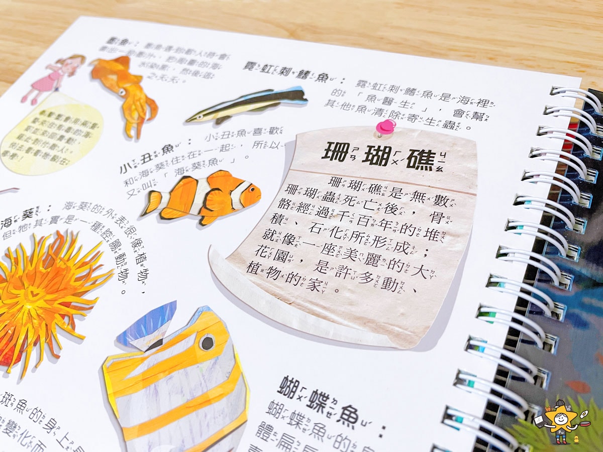 童書推薦｜Fun！神奇膠片手電筒：海洋探祕/有趣的互動遊戲及豐富的海洋知識