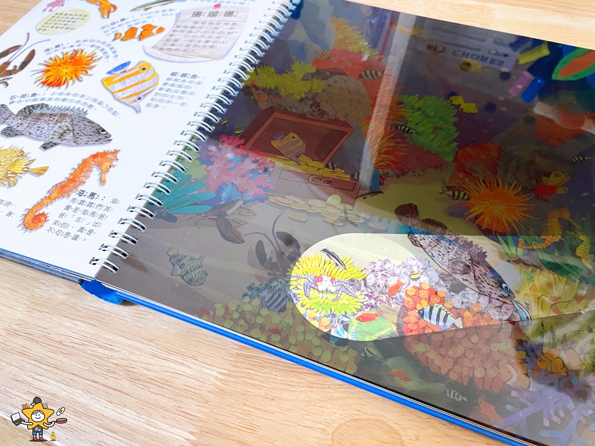 童書推薦｜Fun！神奇膠片手電筒：海洋探祕/有趣的互動遊戲及豐富的海洋知識